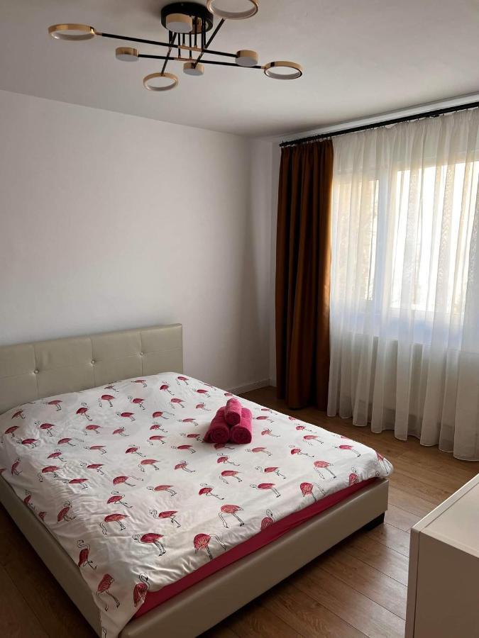 Garsoniera Flamingo Garii 4 Lägenhet Braşov Exteriör bild