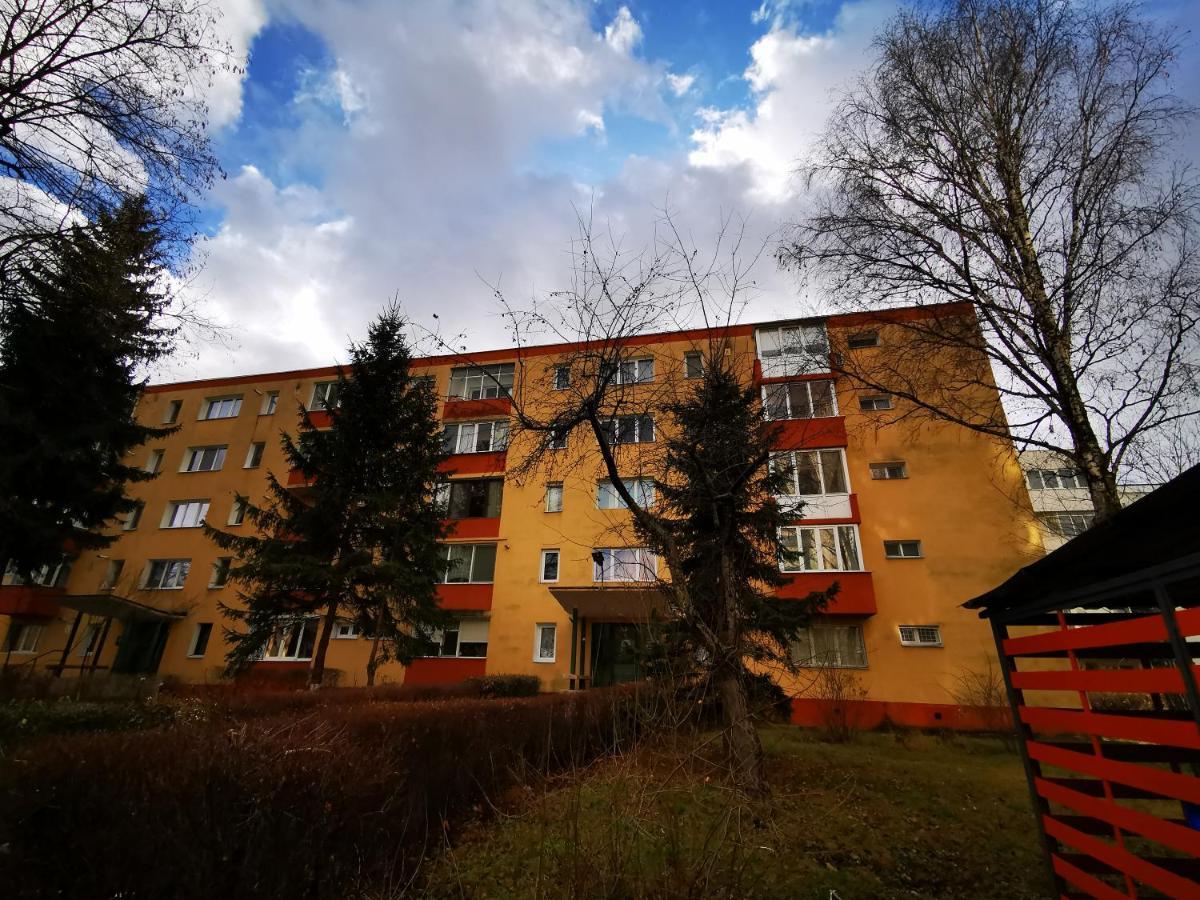 Garsoniera Flamingo Garii 4 Lägenhet Braşov Exteriör bild